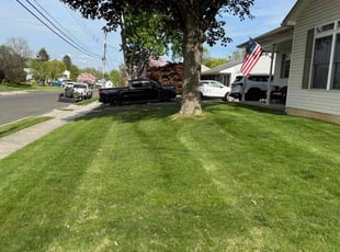 Keith G.'s Lawn Service service result