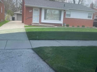 Walter j.'s Lawn Mowing service result