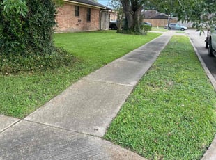 Ron V.'s Lawn Maintenance service result