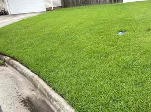 Michael M.'s Lawn Care service result