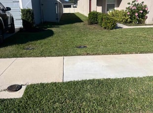Adrian L.'s Lawn Mowing service result