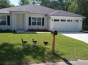 Carlos A.'s Yard Cutting service result
