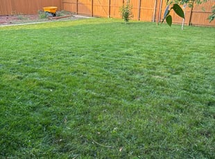 Zalina W.'s Lawn Care service result