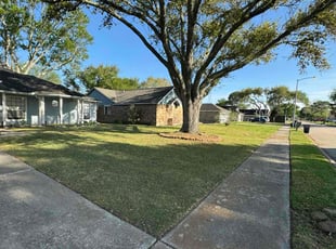 Reynaldo C.'s Yard Cutting service result