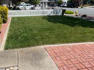 Alex C.'s Lawn Service service result