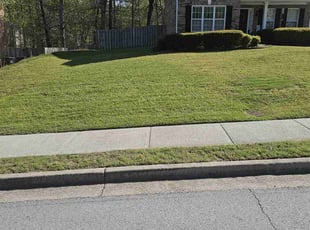 Elaine W.'s Lawn Service service result