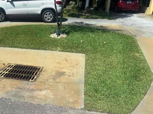 Terence C.'s Lawn Mowing Service service result