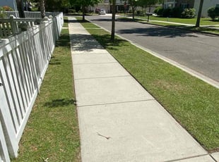 Kwanghee K.'s Lawn Service service result