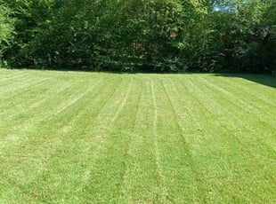 Bush Trimming by Jason Smith for Eric J. in Memphis, TN