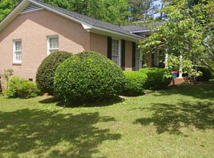 David A.'s Grass Cutting service result