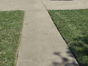 Russ B.'s Lawn Mowing service result