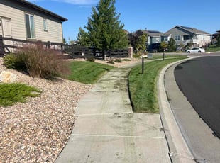 Heather H.'s Grass Cutting service result
