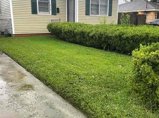 Vickie S.'s Lawn Mowing Service service result