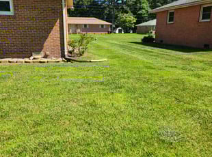 Elizabeth B.'s Lawn Mowing Service service result