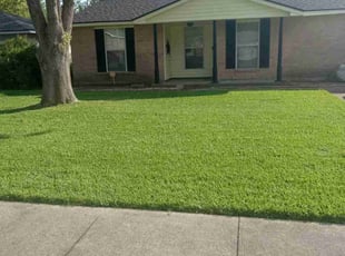 Bobby C.'s Lawn Mowing Service service result