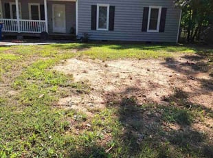 Leaf Removal by Charles Metzger for Adam B. in Midlothian, VA