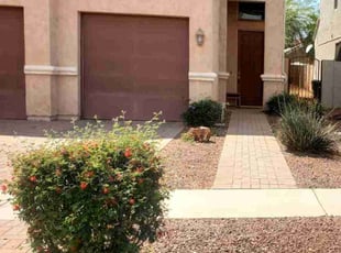 Bush Trimming by Chris Hawk for William V. in Phoenix, AZ