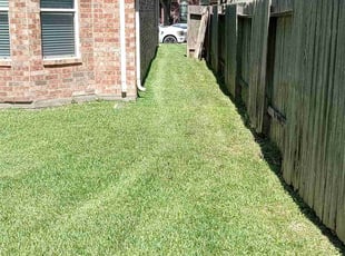 Damon C.'s Lawn Service service result