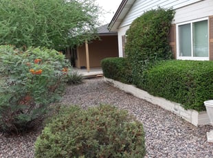 Bush Trimming by Raul Blanco for Ryan V. in Scottsdale, AZ