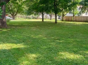 Shannon H.'s Lawn Maintenance service result