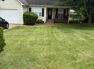 Katrine W.'s Lawn Mowing service result