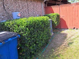Bush Trimming by Jesus Valencia for Phil J. in Lavon, TX
