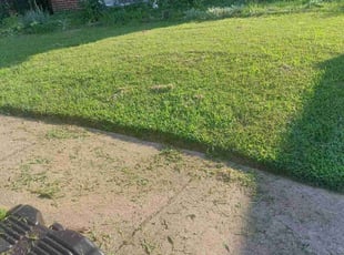 Quintan M.'s Lawn Mowing service result
