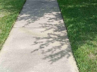 Barbara R.'s Lawn Service service result