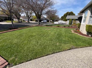 Sara G.'s Yard Cutting service result