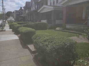 Gerry L.'s Lawn Mowing Service service result