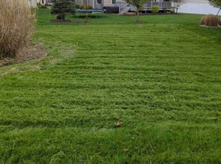 Liliana A.'s Lawn Care service result