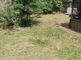 Leaf Removal by Jason Rex for Jacob R. in La Marque, TX