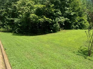 Megan G.'s Lawn Mowing service result