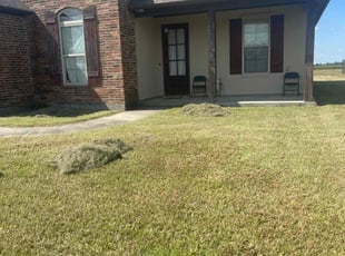 Lorrie L.'s Lawn Mowing service result