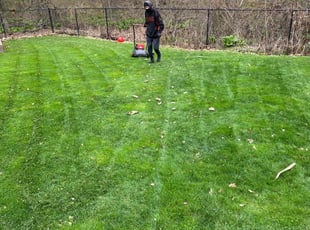 Derek T.'s Lawn Service service result