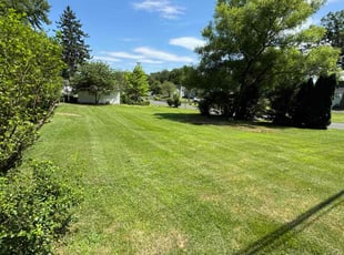 Ruthie M.'s Lawn Service service result