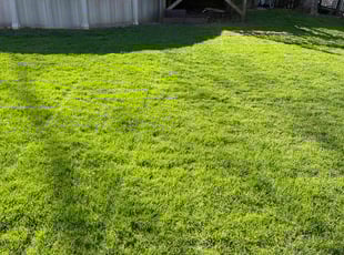 Thomas C.'s Lawn Mowing service result