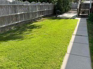 Rebecca W.'s Lawn Service service result