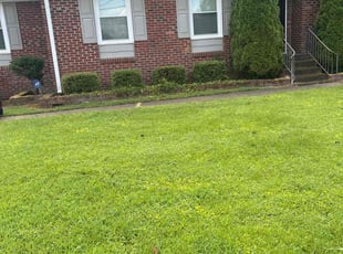 Marilyn M.'s Bush Trimming service result