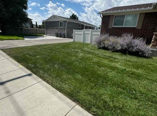 Sheila R.'s Lawn Mowing service result