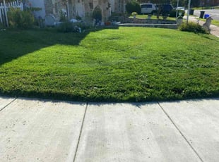 Yvette S.'s Lawn Care service result