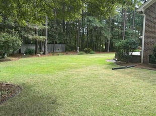 Louie D.'s Lawn Service service result