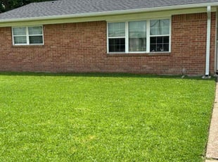 LeighAnn S.'s Lawn Care service result