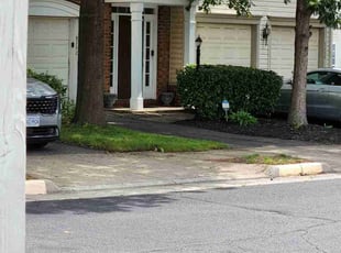 Mike C.'s Bush Trimming service result
