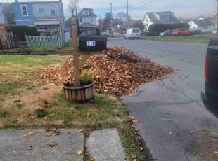 Leaf Removal by Ryan Sorrentino for Danny B. in Allentown, PA