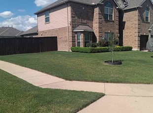 Rolla P.'s Lawn Care service result