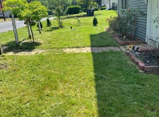 Fernando C.'s Lawn Service service result