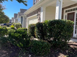 Bush Trimming by Ronald Martin for David C. in Charlotte, NC