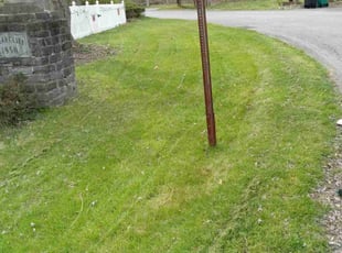 Joel T.'s Lawn Mowing service result