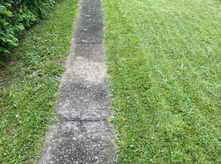 Cheryle G.'s Lawn Care service result